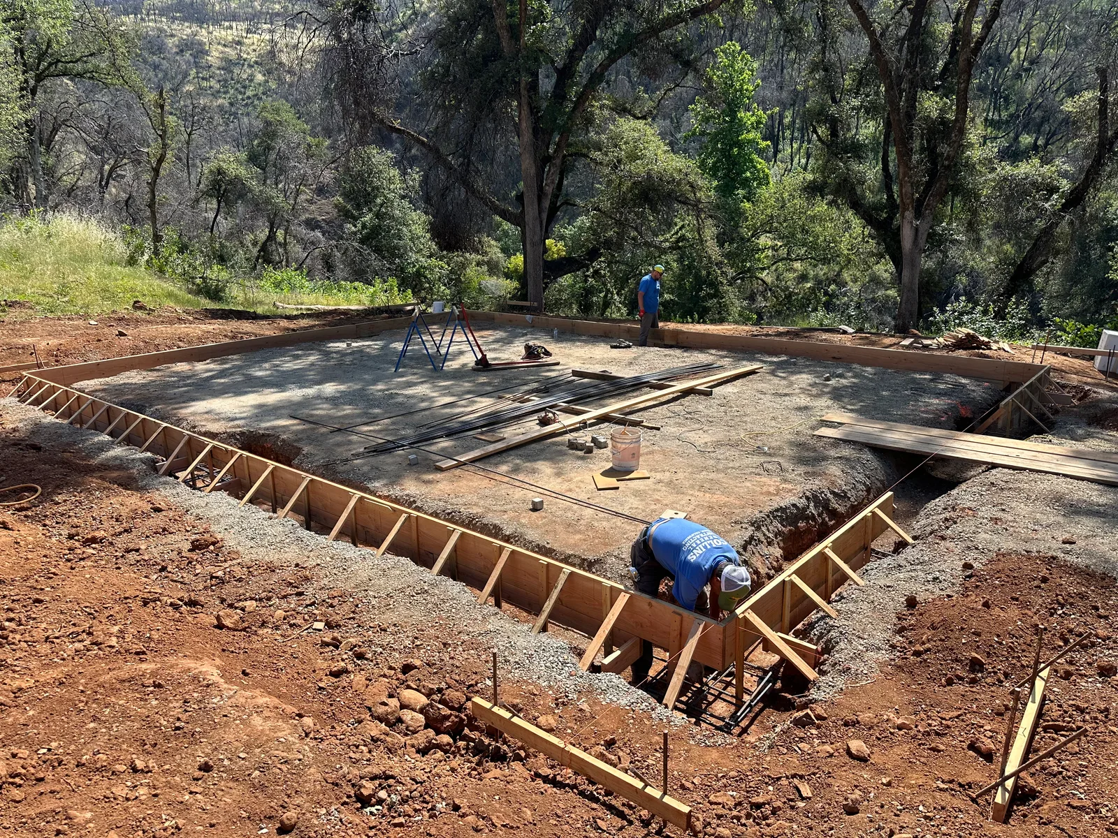 Foundation forms and reinforcing steel on a wooded site